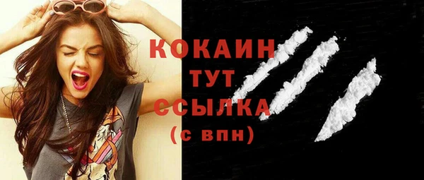 кокс Богородицк