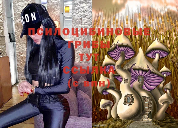 a pvp Богородск