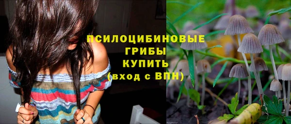 кокс Богородицк