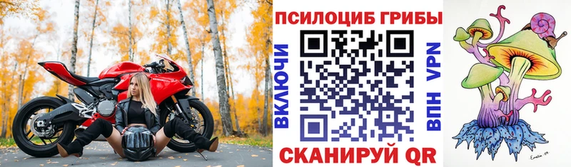 закладки  Мелеуз  Галлюциногенные грибы мухоморы 